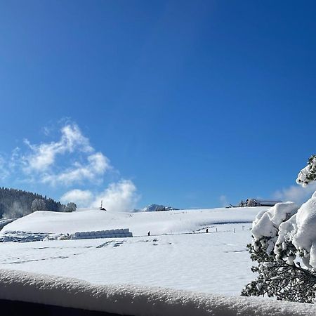 Chalet D'Ayral Avec Jardin Privatif Apartment Leysin Exterior photo