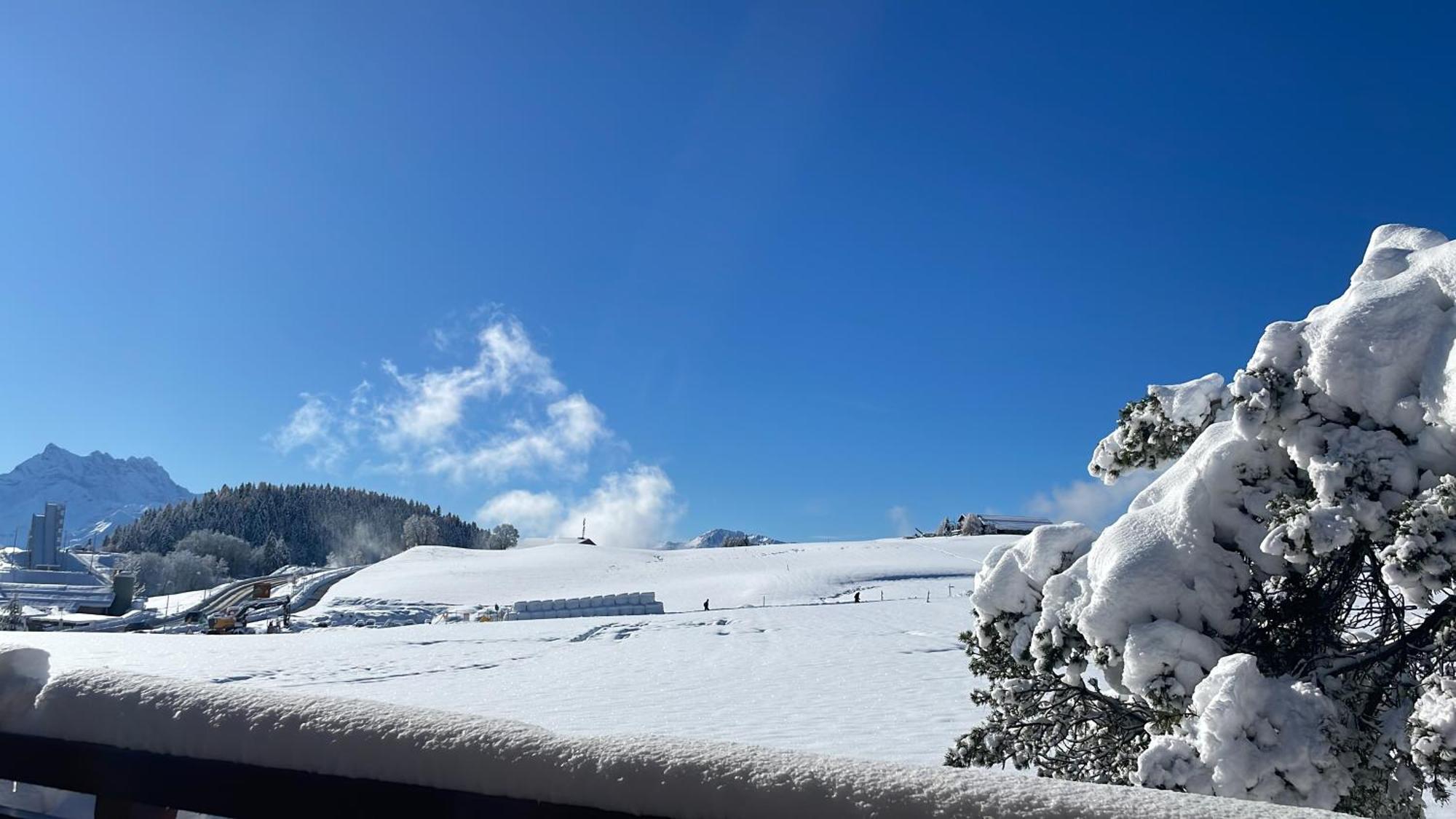 Chalet D'Ayral Avec Jardin Privatif Apartment Leysin Exterior photo